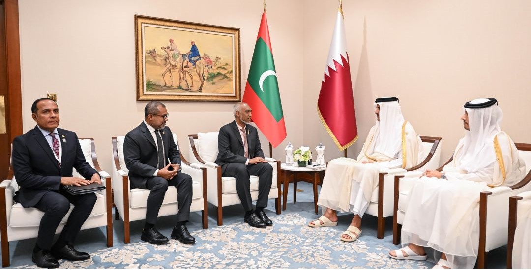 President reaffirms solidarity with Qatar during audience with the Amir